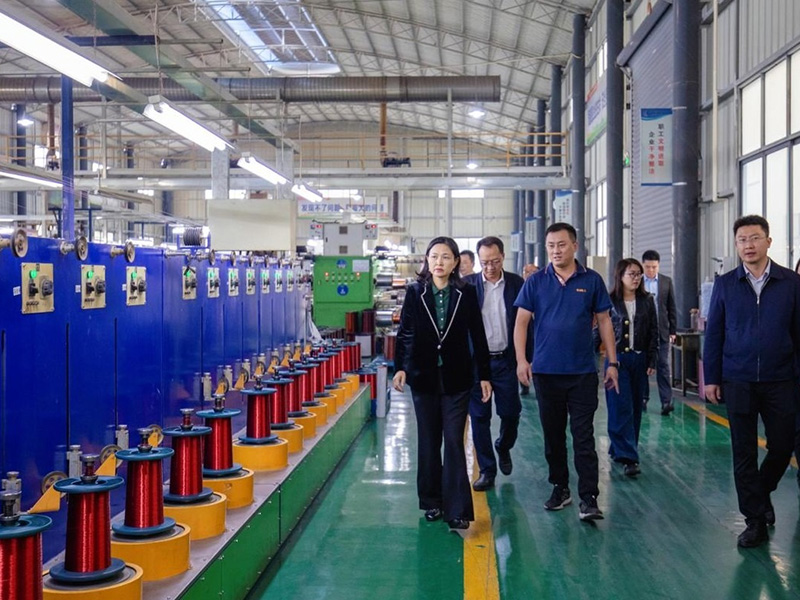 深圳市罗湖区领导一行莅临亿恒电工调研指导
